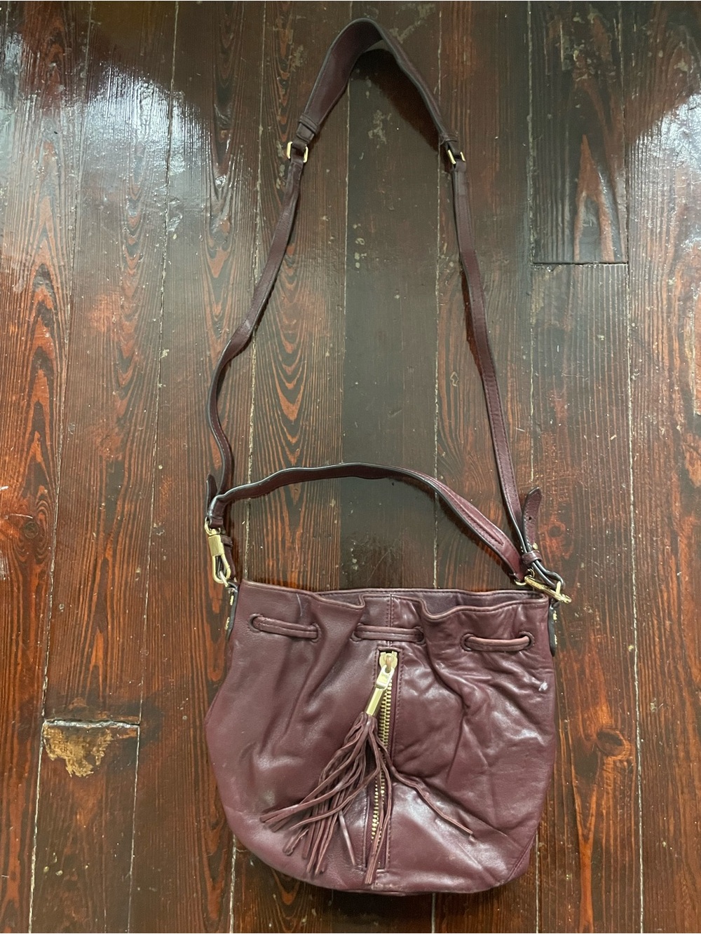 Elizabeth and James Plum Leather Tassel Shoulder Bag